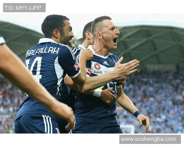 惠灵顿凤凰与墨尔本城精彩对决比分揭晓赛事回顾与分析