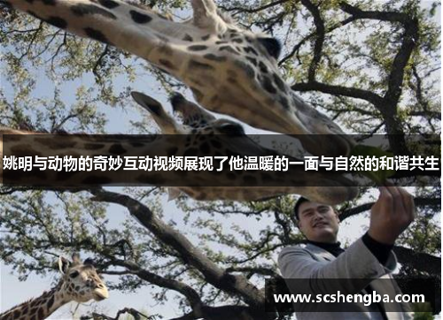 姚明与动物的奇妙互动视频展现了他温暖的一面与自然的和谐共生